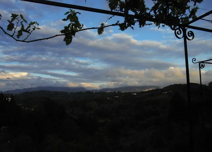 Hillsidehouse *