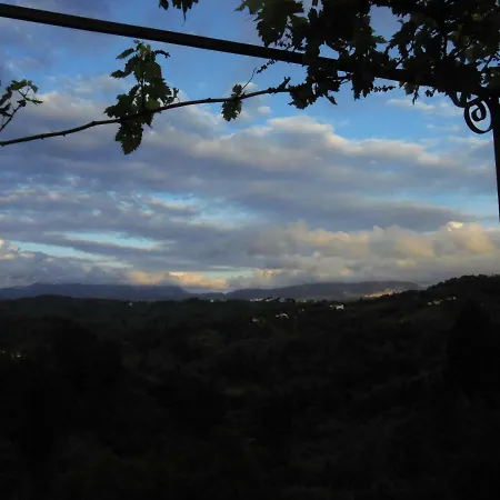 Hillsidehouse *